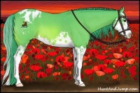 Horse Color:Watercolor Bay Roan Sabino Splash Appaloosa 