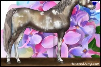 Horse Color:White Spotted Chocolate Silver Blue Onyx Brindle 