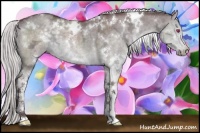 Horse Color:White Spotted Chocolate Silver Black Chinchilla Ice Sabino