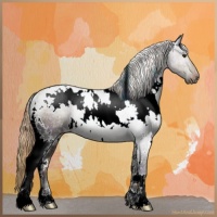 Horse Color:Plaid  White Spotted Liver Chestnut Rabicano 