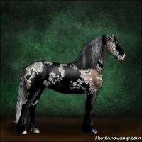 Horse Color:White Spotted Buckskin Rabicano 