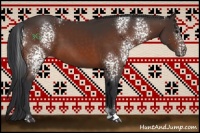 Horse Color:White Spotted Brown Sabino