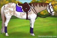 Horse Color:Red Dun Roan Sabino Splash Blanket 