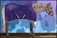 Horse Color:Silver Brown 