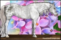 Horse Color:White Spotted Chocolate Palomino Ice Sabino Rabicano