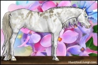 Horse Color:White Spotted Liver Red Dun Ice Sabino Splash Appaloosa Rabicano 