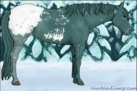 Horse Color:Watercolor Black Appaloosa