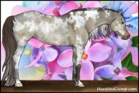 Horse Color:White Spotted Liver Red Dun Ice Rabicano 