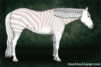 Horse Color:Watercolor Palomino Dun Splash