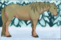 Horse Color:Watercolor Chestnut 