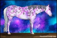 Horse Color:Watercolor Bay Splash Appaloosa 