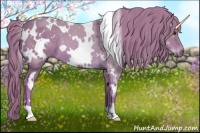 Horse Color:Watercolor White Spotted Chestnut 