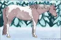 Horse Color:Watercolor Chestnut Tobiano 