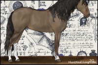 Horse Color:Liver Red Dun Sabino 