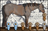 Horse Color:Liver Red Dun Sabino and Grullo Sabino