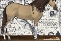 Horse Color:White Spotted Liver Red Dun 