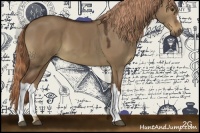 Horse Color:Liver Red Dun 