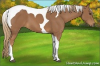 Horse Color:Chestnut Tobiano 