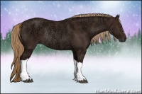 Horse Color:Liver Chestnut Ice Rabicano