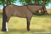 Horse Color:Liver Red Dun Brindle 