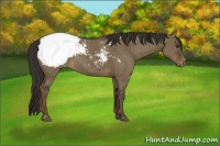Horse Color:Liver Red Dun Snowcap Brindle 