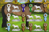 Horse Color:Gray Brown Dun 