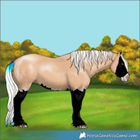 Horse Color:Silver Classic Champagne Splash 