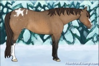 Horse Color:Bay Dun Varnish Brindle 