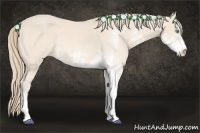 Horse Color:Perlino Sabino  and Perlino Sabino 