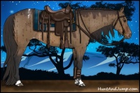 Horse Color:Brown Dun Appaloosa Brindle 