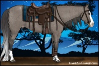 Horse Color:Grullo Splash Appaloosa Brindle