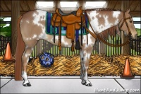 Horse Color:White Spotted Red Roan 