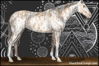 Horse Color:Gold Champagne  and Liver Chestnut Near Fewspot 