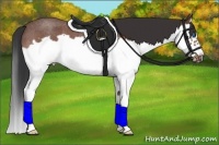 Horse Color:Bay Roan Splash Frame