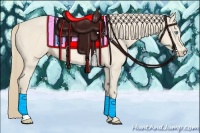Horse Color:Perlino Rabicano