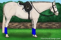 Horse Color:Smoky Creme Rabicano