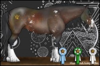 Horse Color:Brown Sabino