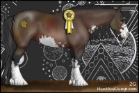 Horse Color:Bay Sabino 