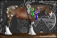 Horse Color:Brown Sabino Rabicano