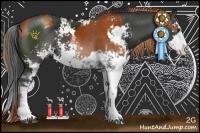 Horse Color:Bay Sabino Rabicano  and Liver Chestnut Sabino 