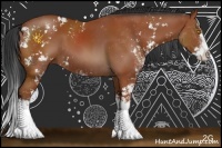 Horse Color:Bay Sabino Splash 