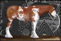 Horse Color:Brown Sabino Rabicano 