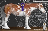 Horse Color:Bay Sabino 