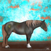 Horse Color:Liver Chestnut Sabino 