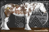 Horse Color:Brown Sabino Splash