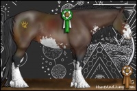 Horse Color:Bay Sabino Rabicano