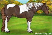 Horse Color:Liver Chestnut Tobiano