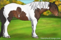 Horse Color:Liver Chestnut Tobiano Appaloosa