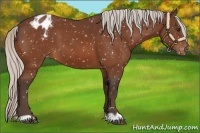 Horse Color:Silver Bay Snowflake Varnish 