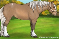 Horse Color:Silver Buckskin Varnish 